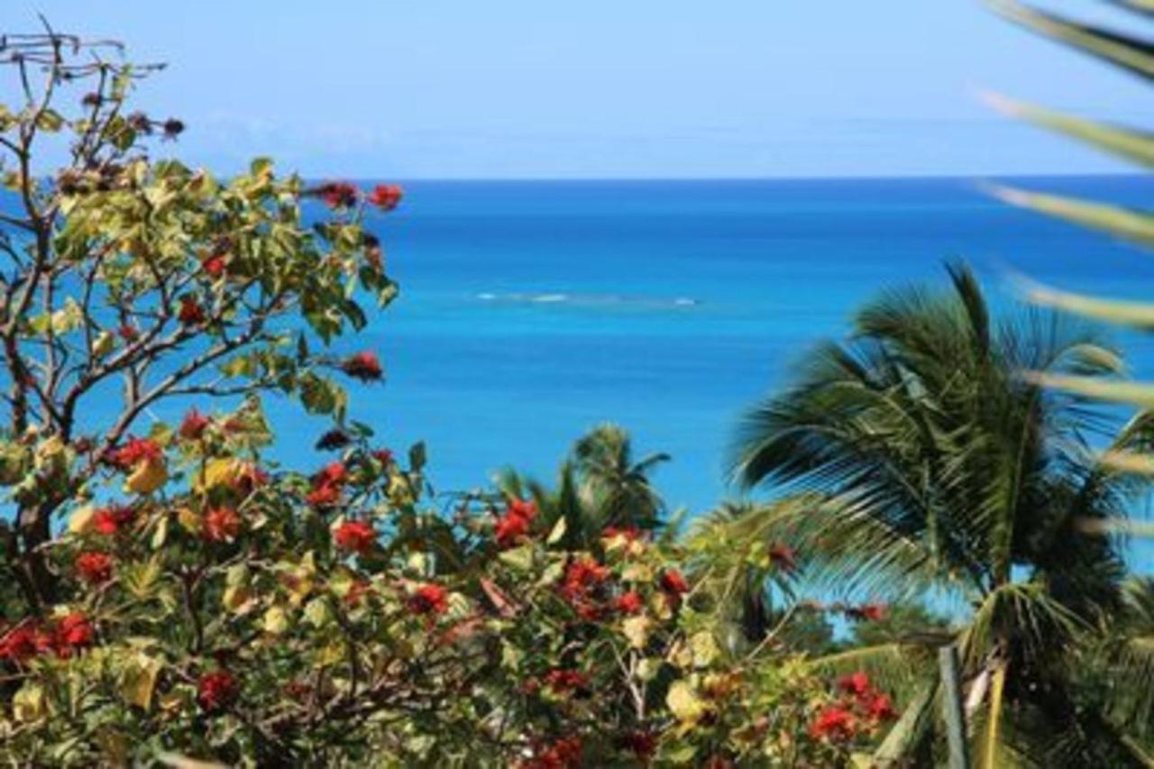 Attractive 2-Bed Apartment Stunning Sea View Dickenson Bay Екстериор снимка